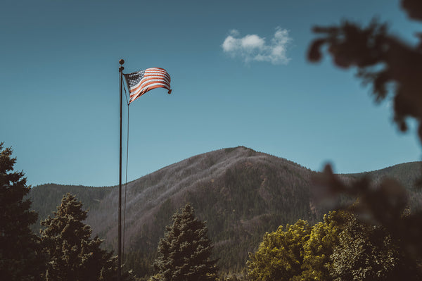 Flagpole Vocabulary