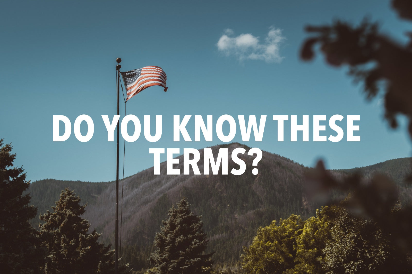 Flagpole Terminology From Ball to Halyard and Beyond