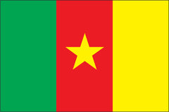 CAMEROON NYLON PRINT FLAG - 3x5