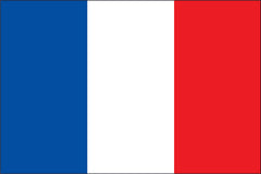 FRANCE NYLON PRINT FLAG - 3x5