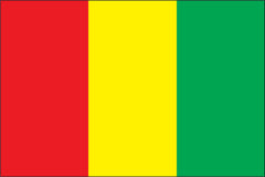 GUINEA NYLON PRINT FLAG - 3x5