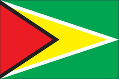 GUYANA NYLON PRINT FLAG - 3x5