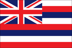 HAWAII NYLON PRINT FLAG - 3X5