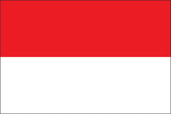 INDONESIA NYLON PRINT FLAG - 3x5
