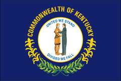 kentucky state flag, flag of kentucky