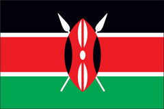 KENYA NYLON PRINT FLAG - 3x5