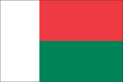MADAGASCAR NYLON PRINT FLAG - 3x5