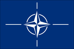 NATO NYLON PRINT FLAG - 3x5