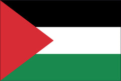 PALESTINE NYLON PRINT FLAG - 3x5