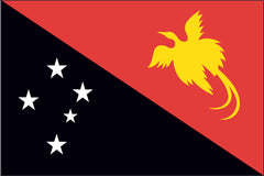 PAPUA NEW GUINEA NYLON PRINT FLAG - 3x5