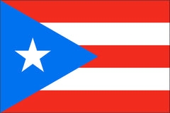 PUERTO RICO NYLON PRINT FLAG - 3X5