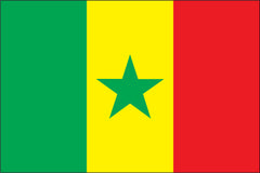 SENEGAL NYLON PRINT FLAG - 3x5