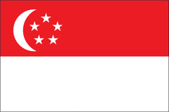 SINGAPORE NYLON PRINT FLAG - 3x5