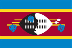 SWAZILAND NYLON PRINT FLAG - 3x5