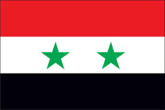 SYRIA NYLON PRINT FLAG - 3x5