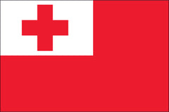 TONGA NYLON PRINT FLAG - 3x5