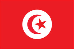 TUNISIA NYLON PRINT FLAG - 3x5
