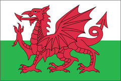 WALES NYLON PRINT FLAG - 3x5
