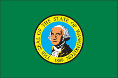 WASHINGTON NYLON PRINT FLAG - 3X5
