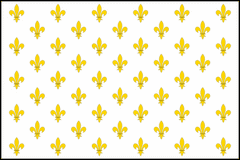 FRANCE FLEUR DI LIS-WHITE FIELD NYLON PRINT FLAG - 3X5