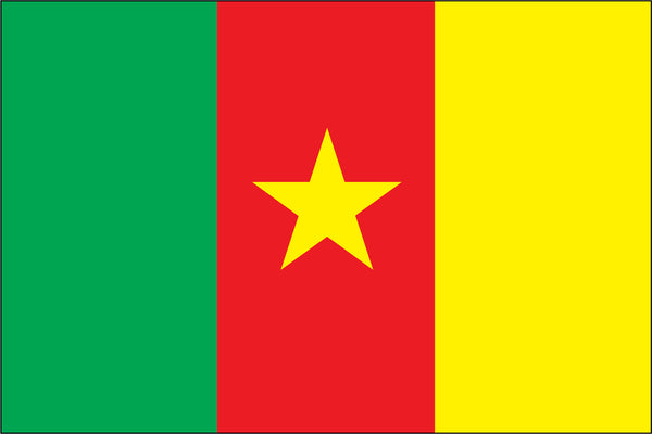 Cameroon Miniature Flag 4" x 6"