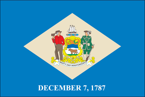 Delaware Miniature 4" x 6" Flag