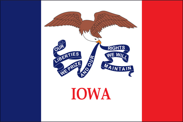 Iowa Miniature 4" x 6" Flag