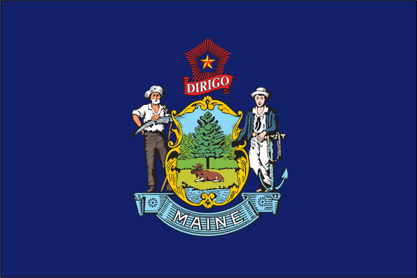Maine Miniature 4" x 6" Flag