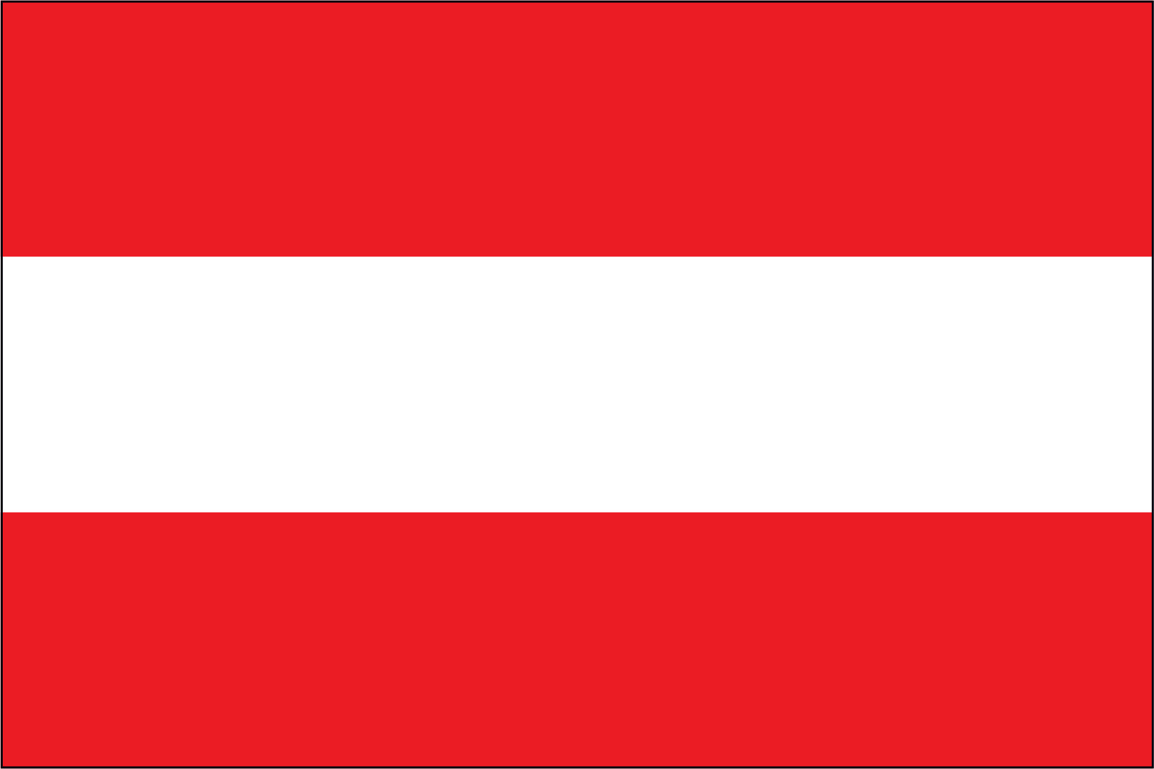 AUSTRIA NYLON PRINT FLAG - 3x5