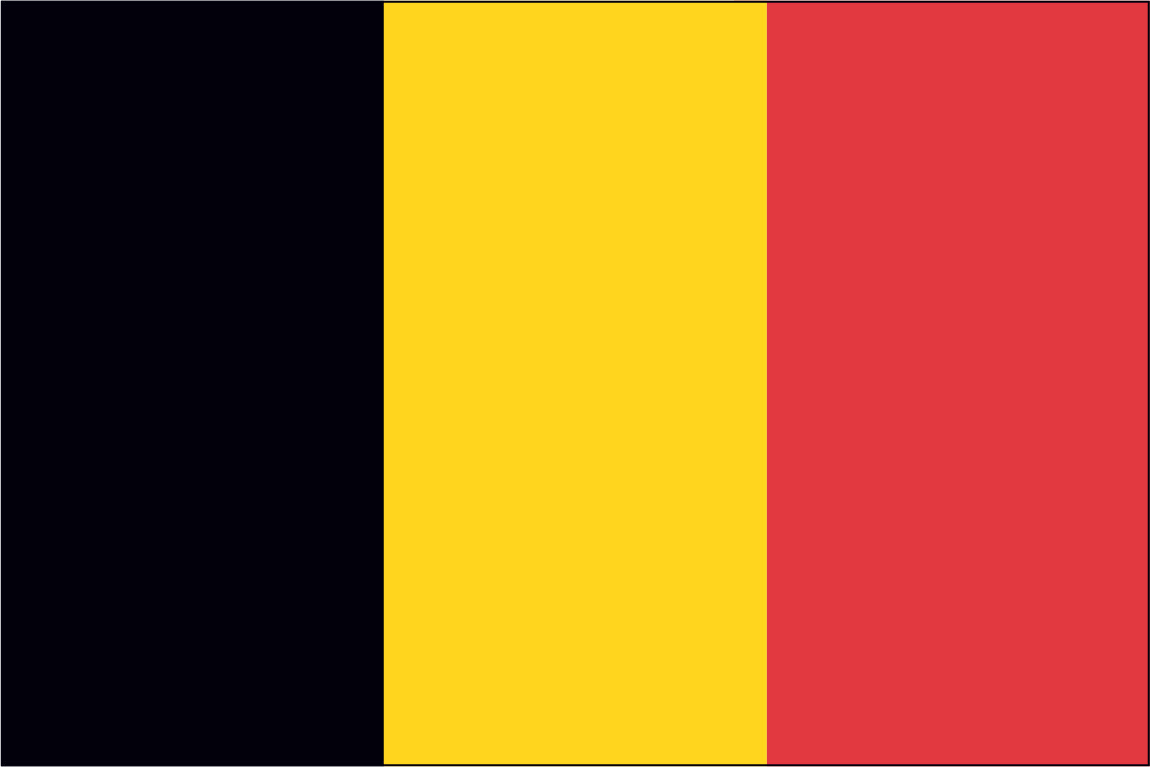 BELGIUM NYLON PRINT FLAG - 3x5