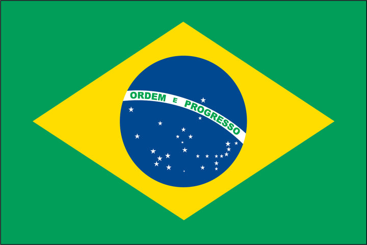 BRAZIL NYLON PRINT FLAG - 3x5