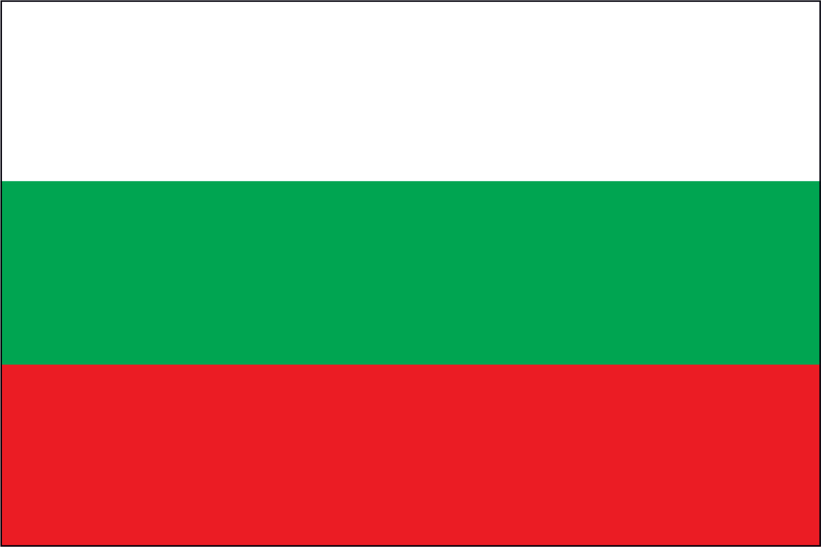 BULGARIA NYLON PRINT FLAG - 3x5
