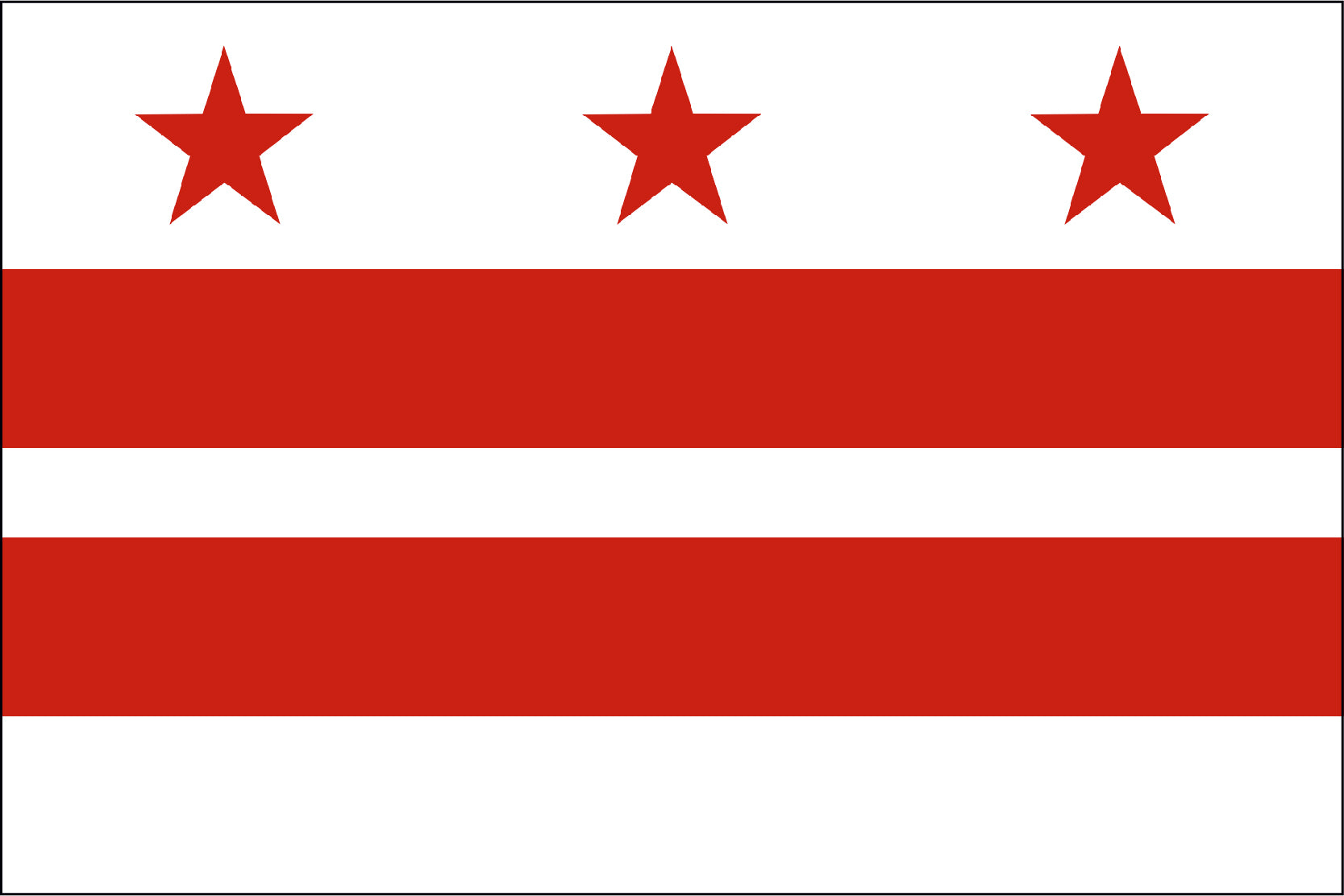 DISTRICT OF COLUMBIA NYLON PRINT FLAG - 3X5