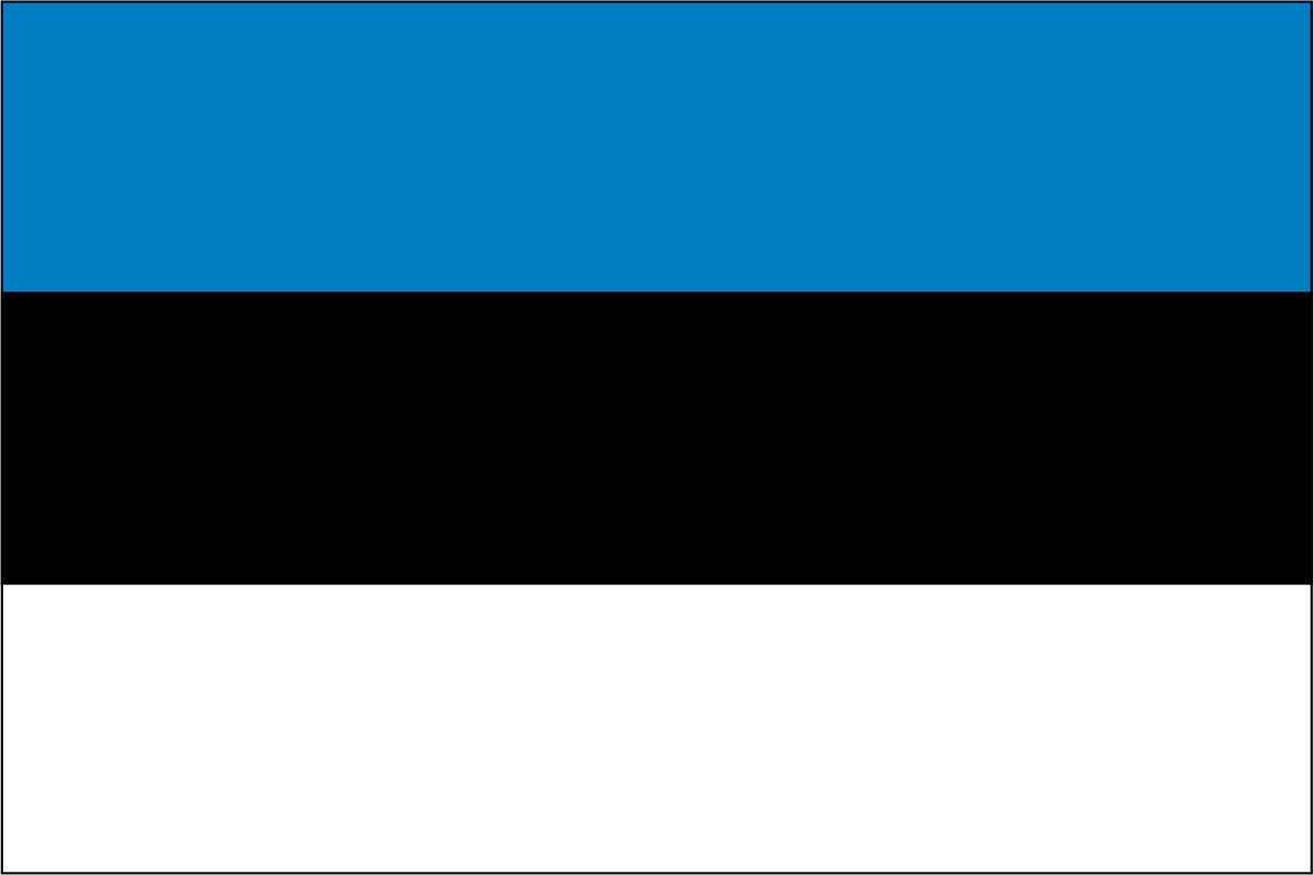 ESTONIA NYLON PRINT FLAG - 3x5