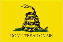 GADSEN NYLON PRINT FLAG - 3X5