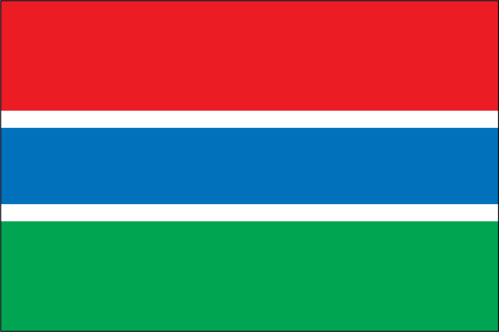 GAMBIA NYLON PRINT FLAG - 3x5