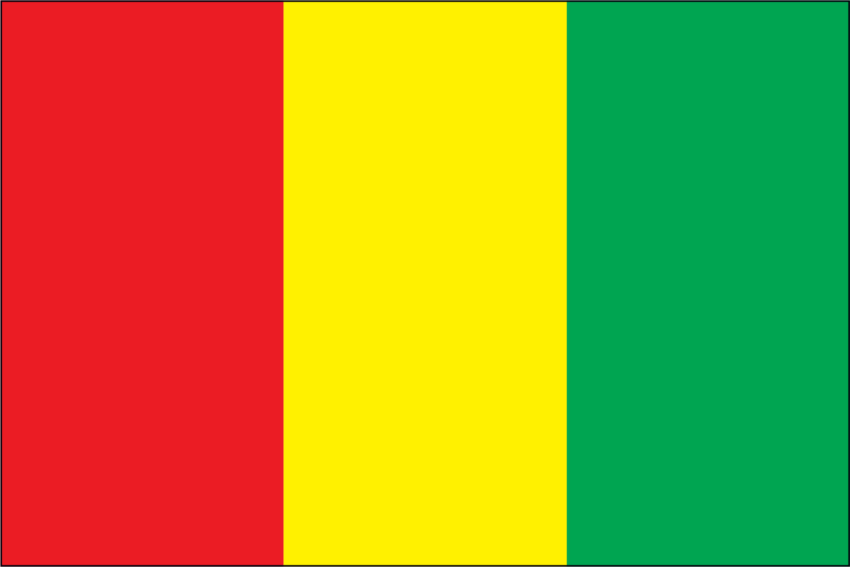 GUINEA NYLON PRINT FLAG - 3x5