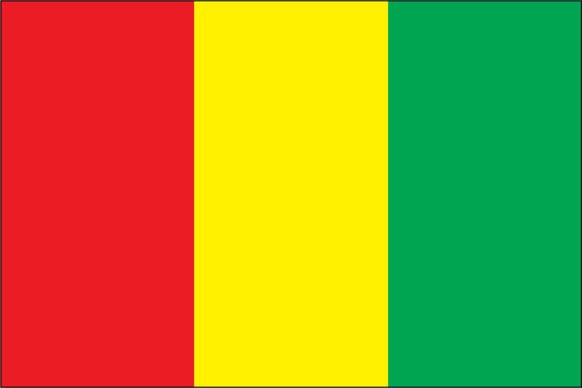 GUINEA NYLON PRINT FLAG - 3x5