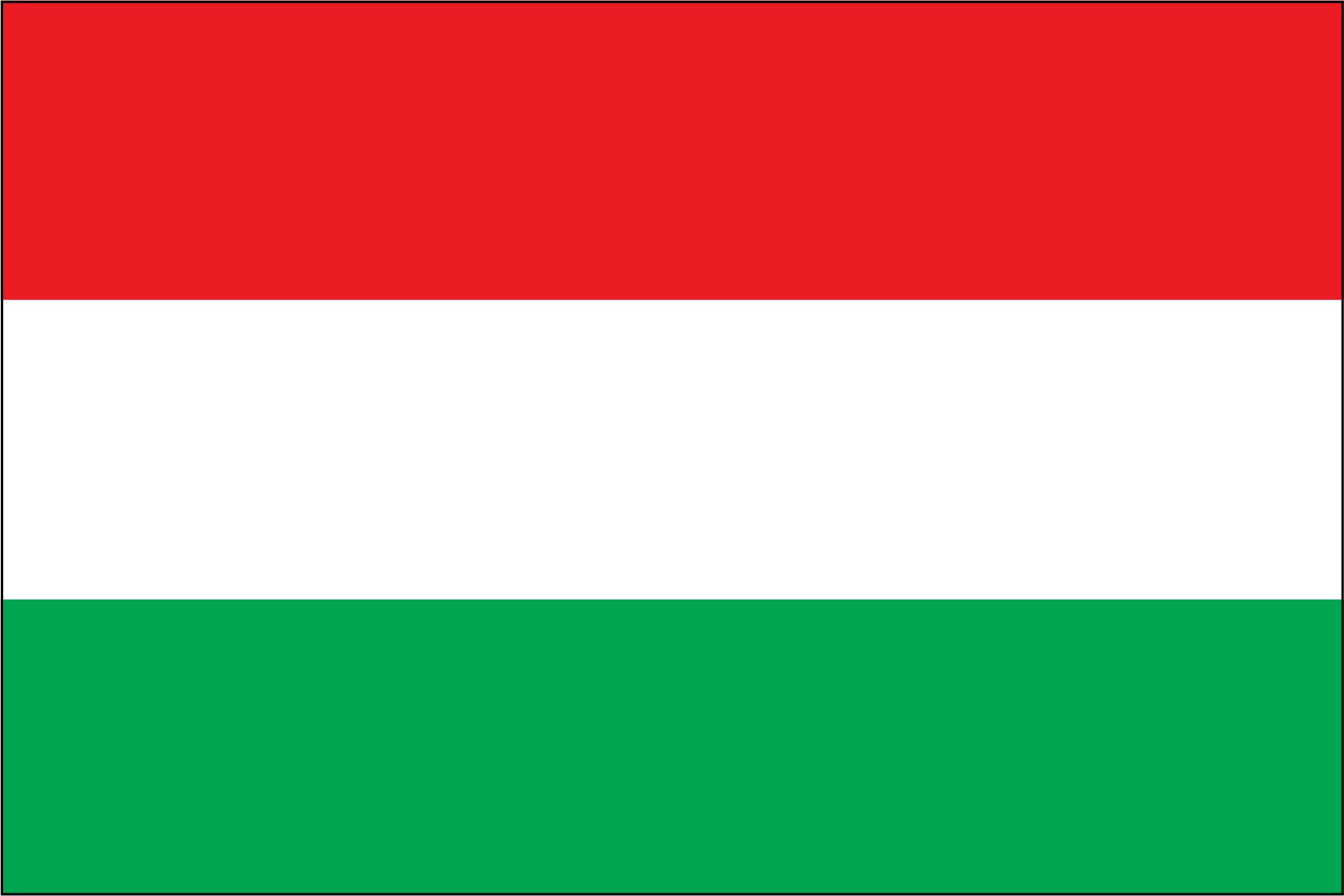 HUNGARY NYLON PRINT FLAG - 3x5
