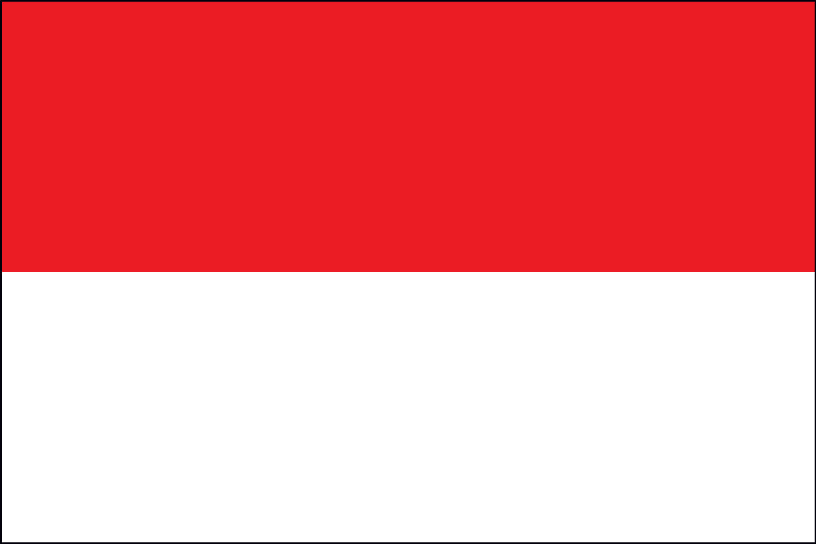 INDONESIA NYLON PRINT FLAG - 3x5