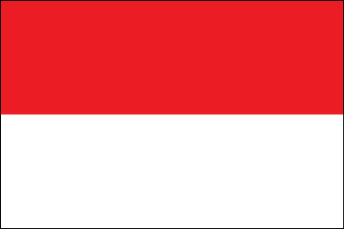 INDONESIA NYLON PRINT FLAG - 3x5