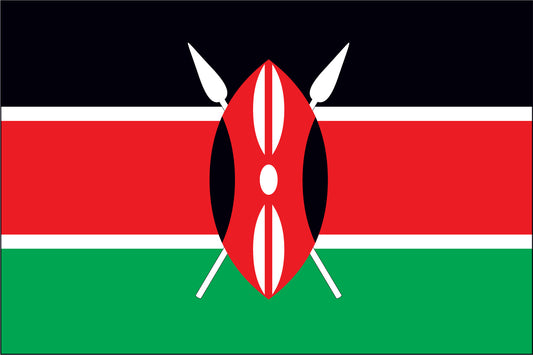 KENYA NYLON PRINT FLAG - 3x5