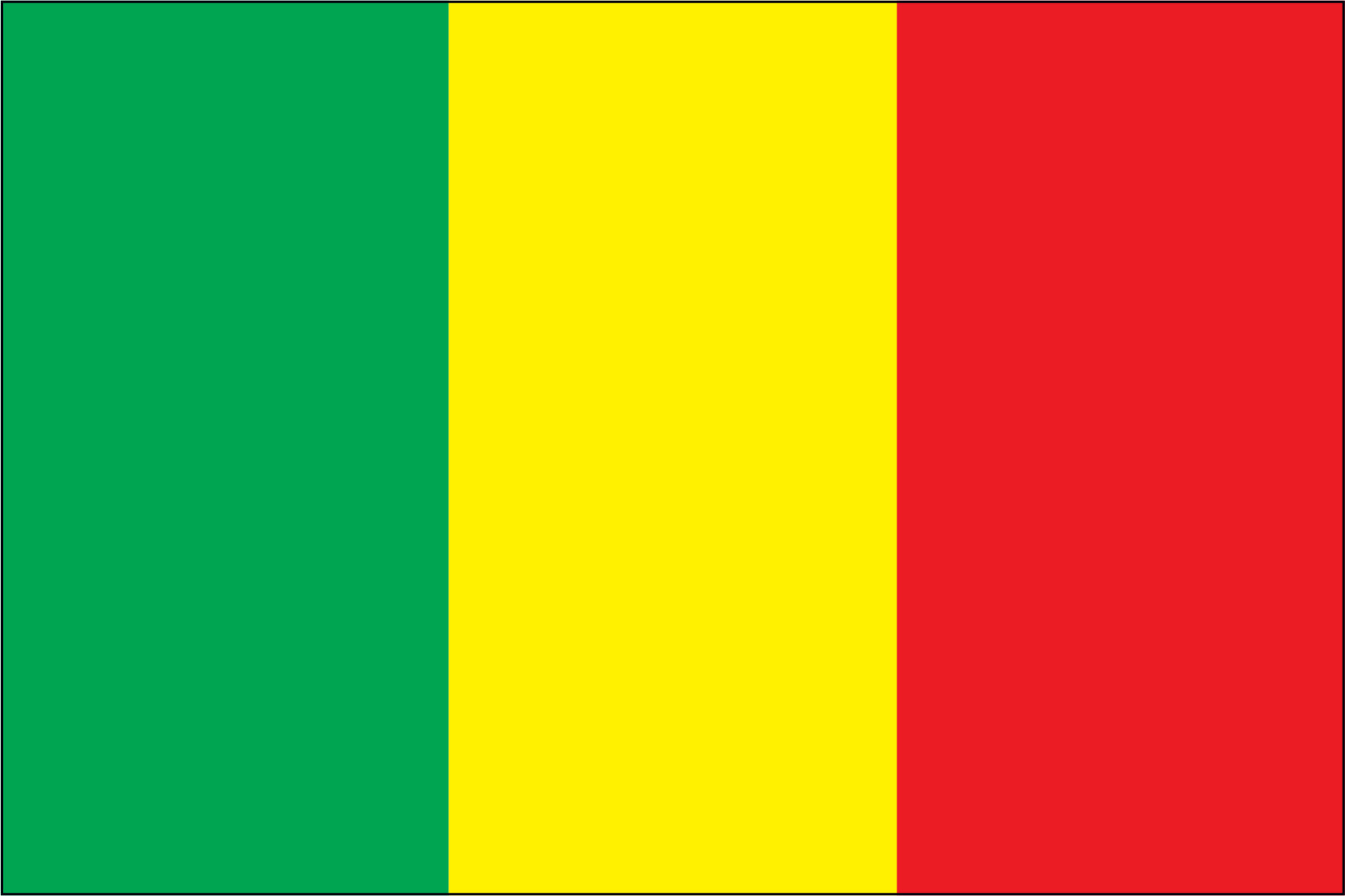 MALI NYLON PRINT FLAG - 3x5