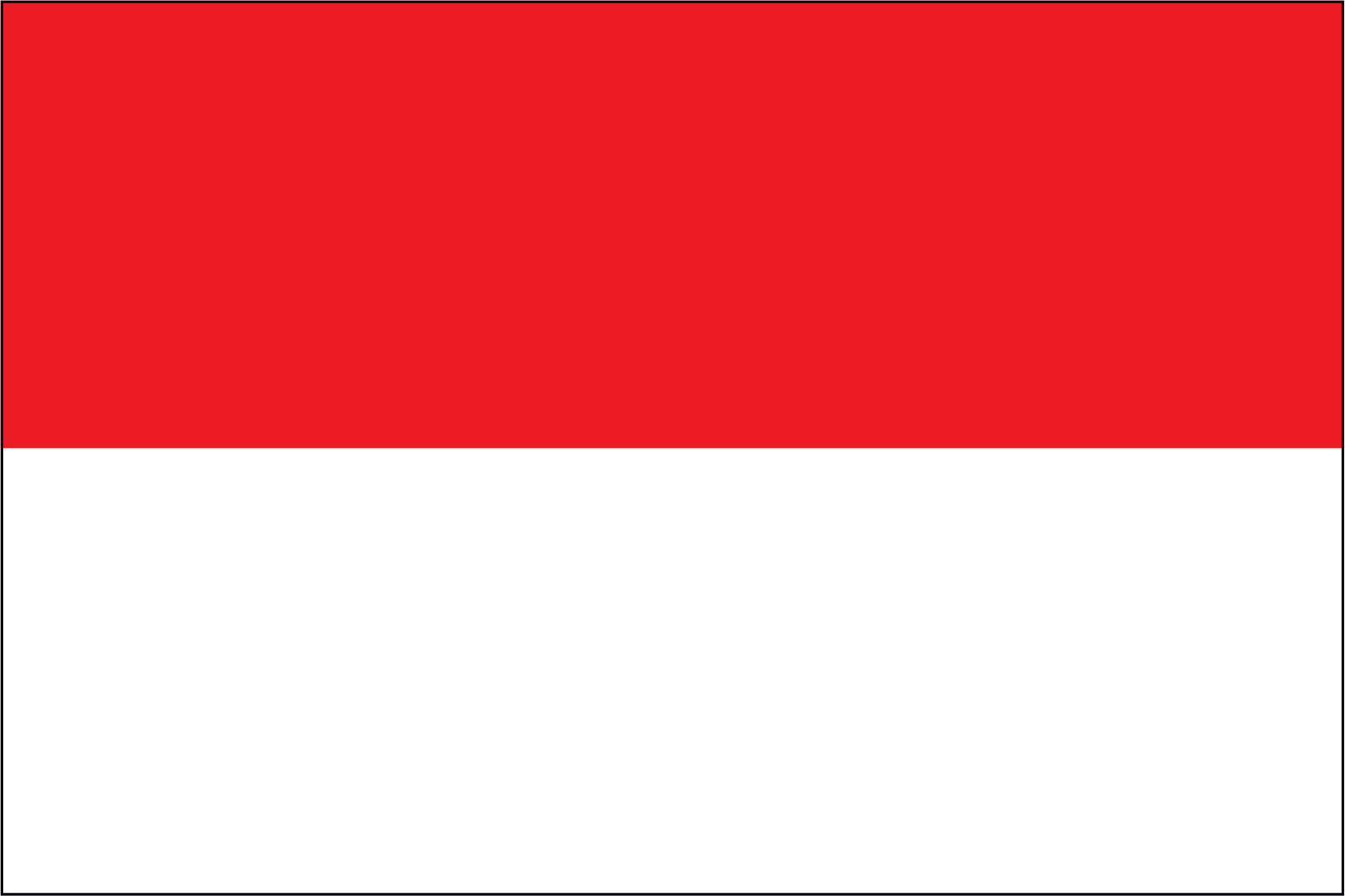 MONACO NYLON PRINT FLAG - 3x5