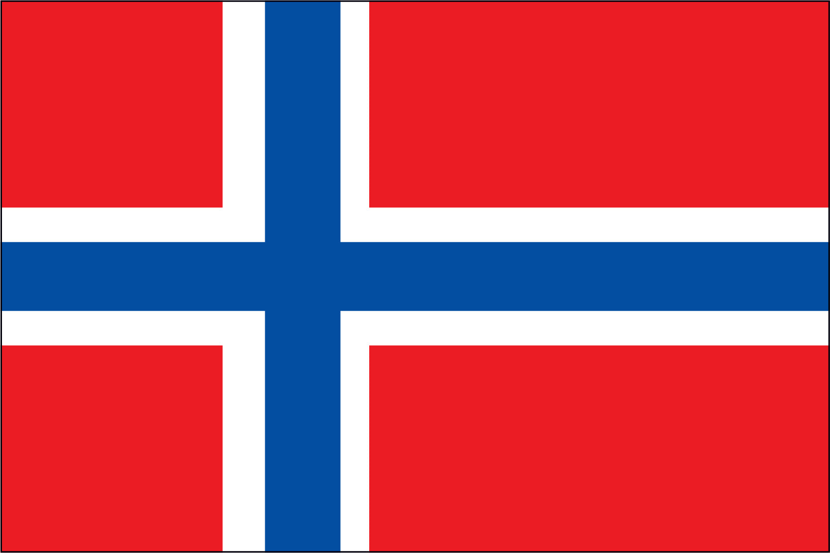 NORWAY NYLON PRINT FLAG - 3x5