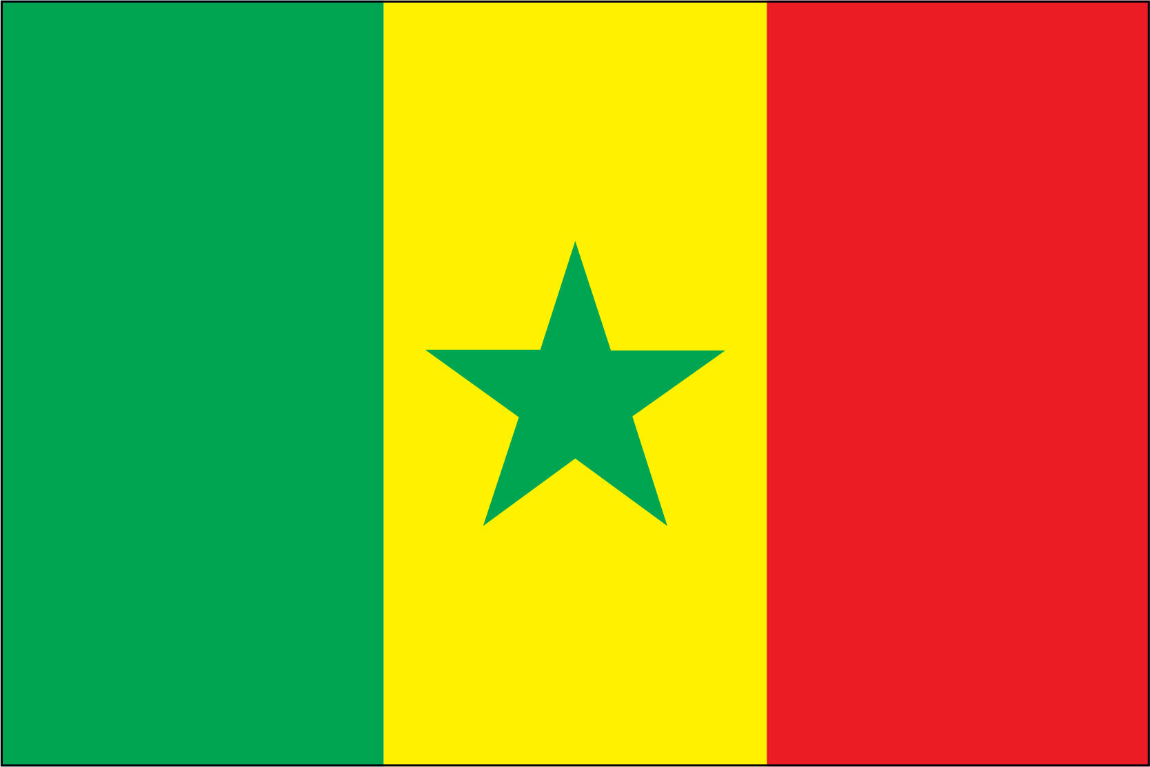 SENEGAL NYLON PRINT FLAG - 3x5