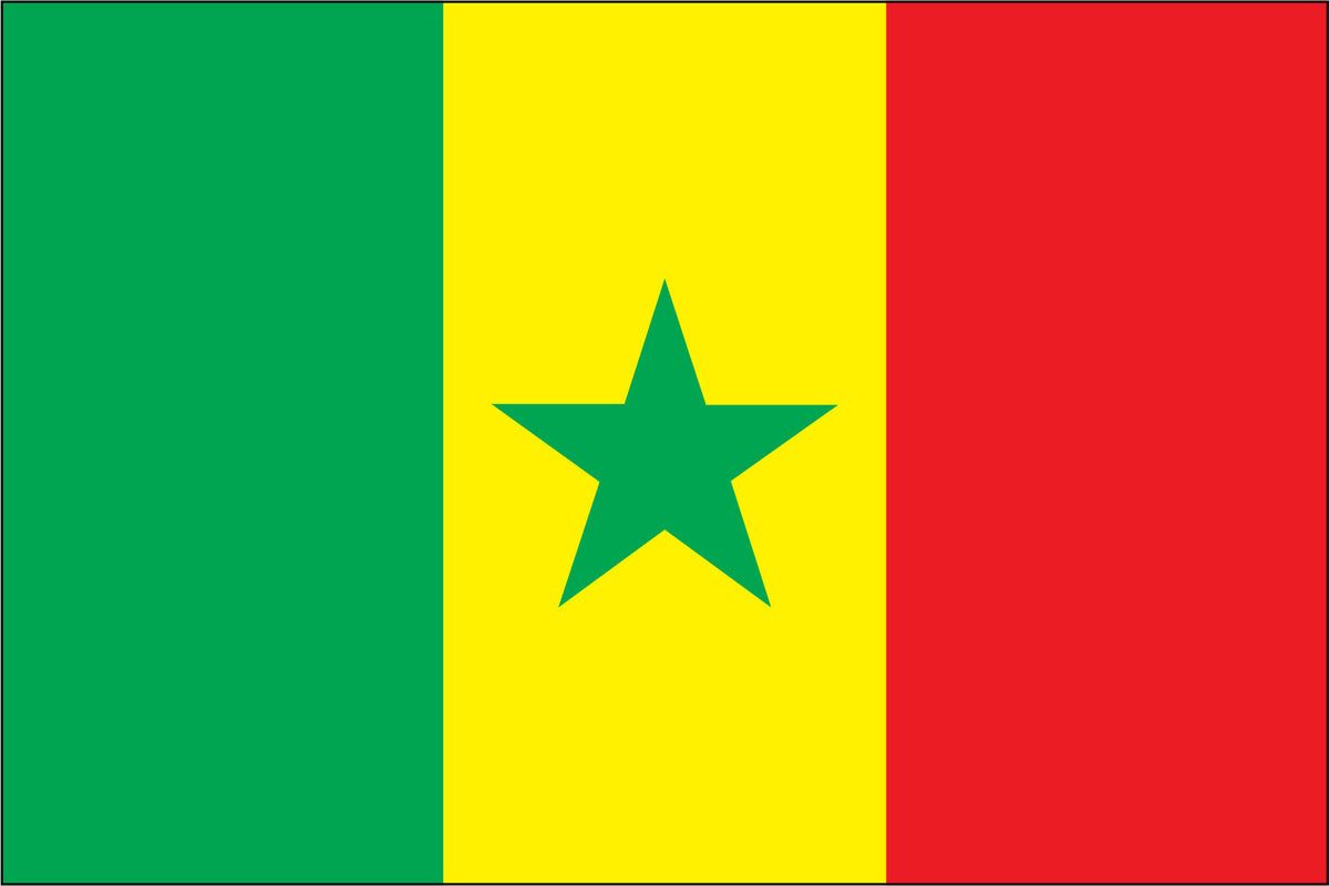 SENEGAL NYLON PRINT FLAG - 3x5