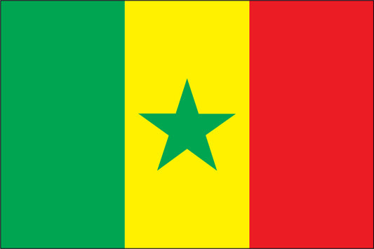 SENEGAL NYLON PRINT FLAG - 3x5