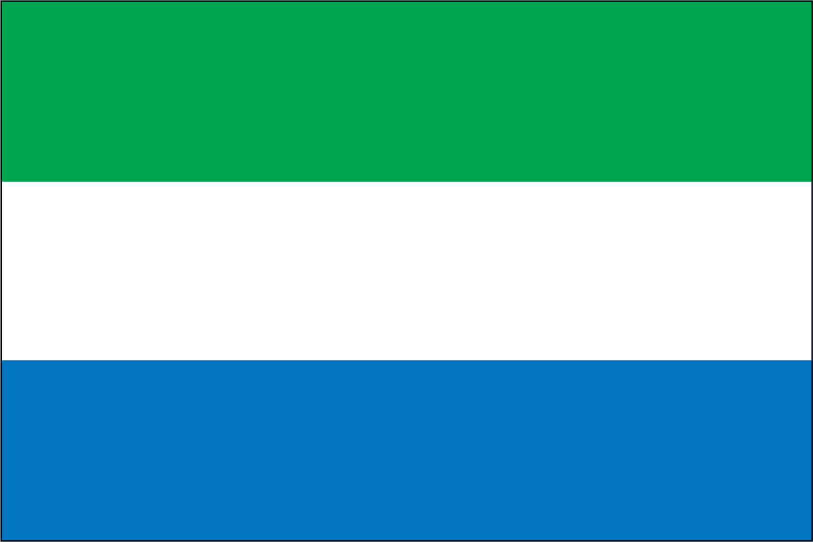 SIERRA LEONE NYLON PRINT FLAG - 3x5