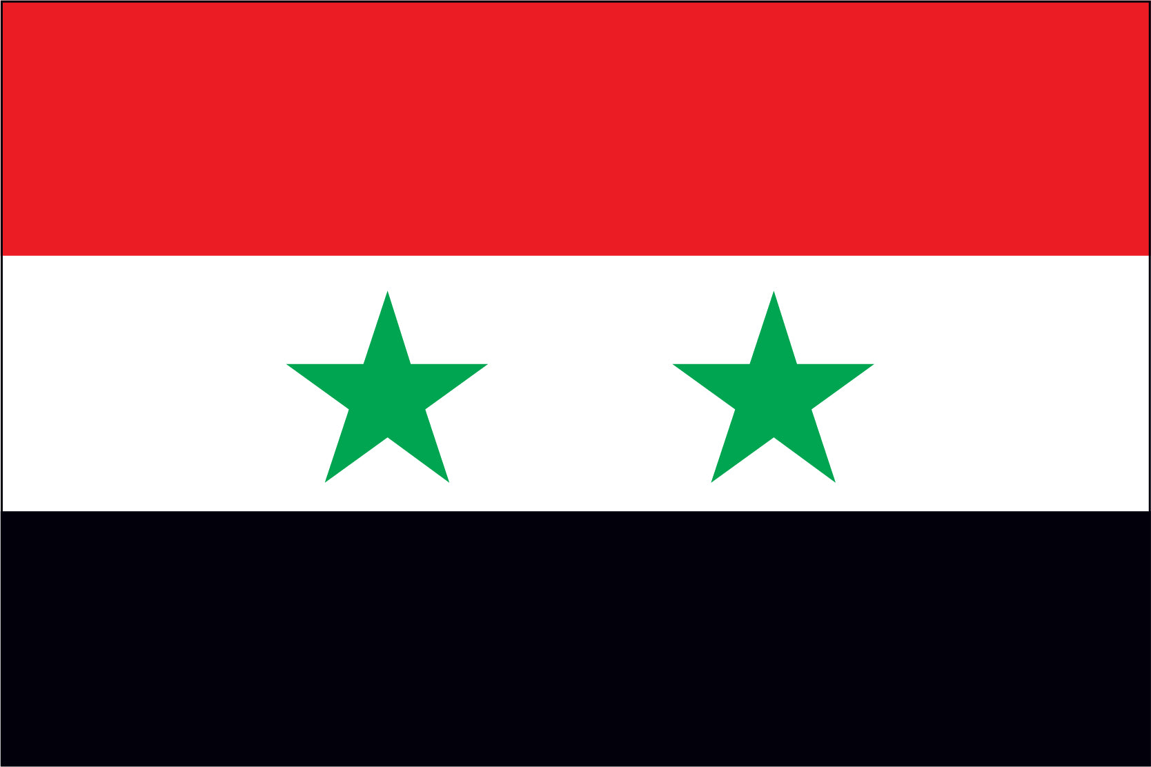 SYRIA NYLON PRINT FLAG - 3x5